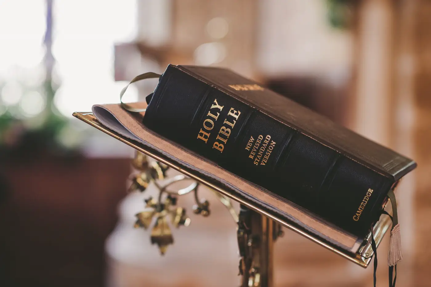 Wooden pews